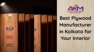 Searching for a plywood manufacturer in Kolkata? Learn how to choose the best option for durability and style.