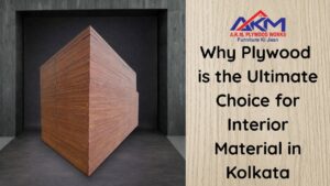 Explore the best interior material in Kolkata to withstand humidity. Discover why plywood is the top choice for home interiors.
