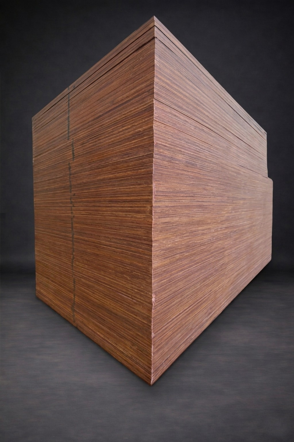 WhatsApp Image 2026-03-18 at 14.36.01 (1)