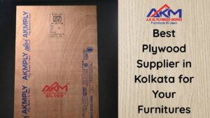Ensure durability and aesthetics in your projects with a reputable plywood supplier in Kolkata. Quality matters in every choice.